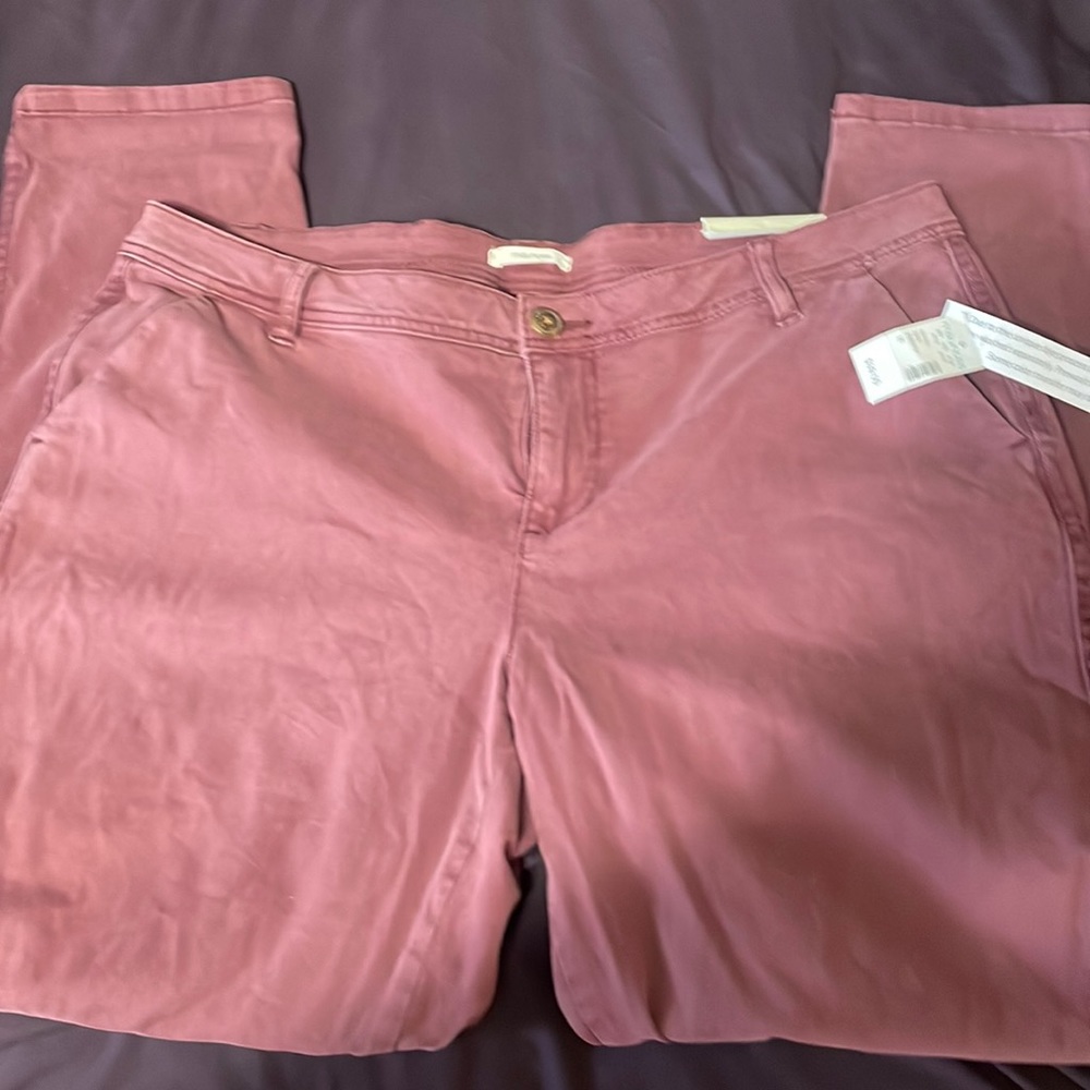 Maurices chino pant